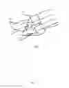 Fig. 03 - Shaped particles