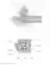 Fig. 02 - Device for Cell Culturing and Processing