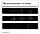 Fig. 11 - Microfluidic pressure regulator for robust hydrogel loading without bursting