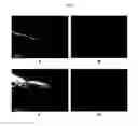 Fig. 05 - METHODS FOR TISSUE FABRICATION
