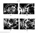 Fig. 12 - METHODS FOR TISSUE FABRICATION