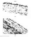 Fig. 14 - METHODS FOR TISSUE FABRICATION