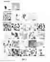 Fig. 04 - CELL CULTURE SUBSTRATE, MANUFACTURING METHOD THEREFOR, AND USE THEREOF