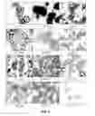Fig. 10 - CELL CULTURE SUBSTRATE, MANUFACTURING METHOD THEREFOR, AND USE THEREOF