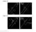 Fig. 08 - METHOD FOR CULTURING AND PATTERNING CELLS