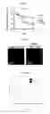 Fig. 04 - Methods for neural conversion of human embryonic stem cells