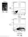 Fig. 16 - Methods for neural conversion of human embryonic stem cells
