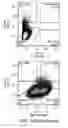 Fig. 17 - Methods for neural conversion of human embryonic stem cells