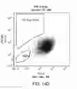 Fig. 19 - Methods for neural conversion of human embryonic stem cells
