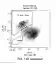 Fig. 20 - Methods for neural conversion of human embryonic stem cells