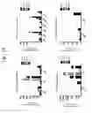 Fig. 33 - Methods for neural conversion of human embryonic stem cells