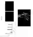 Fig. 35 - Methods for neural conversion of human embryonic stem cells