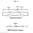 Fig. 06 - Intracellular genomic transplant and methods of therapy
