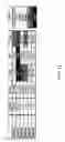 Fig. 13 - Intracellular genomic transplant and methods of therapy