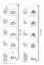 Fig. 25 - Intracellular genomic transplant and methods of therapy