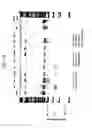 Fig. 29 - Intracellular genomic transplant and methods of therapy