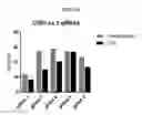 Fig. 64 - Intracellular genomic transplant and methods of therapy