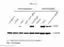 Fig. 71 - Intracellular genomic transplant and methods of therapy