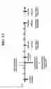 Fig. 92 - Intracellular genomic transplant and methods of therapy