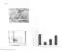 Fig. 02 - METHODS RESPECTIVELY FOR PRODUCING MESODERMAL CELLS AND HEMATOPOIETIC CELLS
