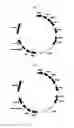Fig. 02 - Composition for inducing direct transdifferentiation of somatic cell into vascular progenitor cell, and use thereof