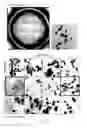 Fig. 09 - Mutant hemagglutinin complex protein, and method for culturing pluripotent stem cells using same