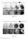 Fig. 12 - Mutant hemagglutinin complex protein, and method for culturing pluripotent stem cells using same