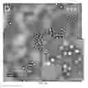 Fig. 07 - Compositions and methods for purifying recombinant adeno-associated virus