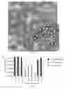 Fig. 08 - Compositions and methods for purifying recombinant adeno-associated virus