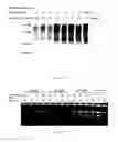 Fig. 09 - Method and system for microbial lysis using periodates