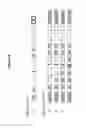 Fig. 16 - Methods and compositions for the specific inhibition of alpha-1 antitrypsin by double-stranded RNA