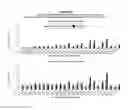 Fig. 28 - Methods and compositions for the specific inhibition of alpha-1 antitrypsin by double-stranded RNA