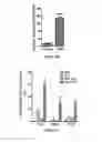 Fig. 04 - Small molecules that enhance the activity of oligonucleotides