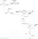 Fig. 13 - LINKAGE MODIFIED GAPPED OLIGOMERIC COMPOUNDS AND USES THEREOF