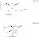 Fig. 19 - LINKAGE MODIFIED GAPPED OLIGOMERIC COMPOUNDS AND USES THEREOF