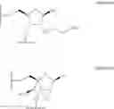 Fig. 23 - LINKAGE MODIFIED GAPPED OLIGOMERIC COMPOUNDS AND USES THEREOF