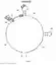 Fig. 03 - Aptamers specific for TLR-4 and uses thereof