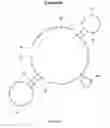 Fig. 04 - Aptamers specific for TLR-4 and uses thereof