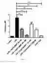 Fig. 07 - Aptamers specific for TLR-4 and uses thereof