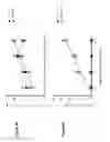 Fig. 55 - Compositions and methods to activate or inhibit toll-like receptor signaling
