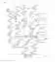 Fig. 02 - Yeast strain and microbial method for production of pentacyclic triterpenes and/or triterpenoids