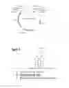 Fig. 02 - Method for fine-tuning gene expression levels using synthetic regulatory SRNA