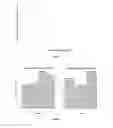 Fig. 07 - METHODS OF PLANT TRANSFORMATION USING TRANSFORMABLE CELL SUSPENSION CULTURE AND USES THEREOF