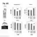 Fig. 12 - Methods and compositions for delivering nucleic acids to plant cells and regulating gene expression