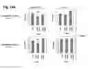 Fig. 18 - Methods and compositions for delivering nucleic acids to plant cells and regulating gene expression