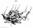 Fig. 06 - Chimeric capsids