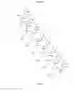 Fig. 06 - Trans-acting elements for intracellular delivery of nucleic acid sequences