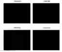 Fig. 20 - Trans-acting elements for intracellular delivery of nucleic acid sequences