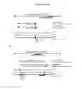 Fig. 32 - COMPOSITIONS AND METHODS FOR ALTERING GENE EXPRESSION