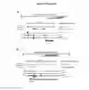 Fig. 35 - COMPOSITIONS AND METHODS FOR ALTERING GENE EXPRESSION